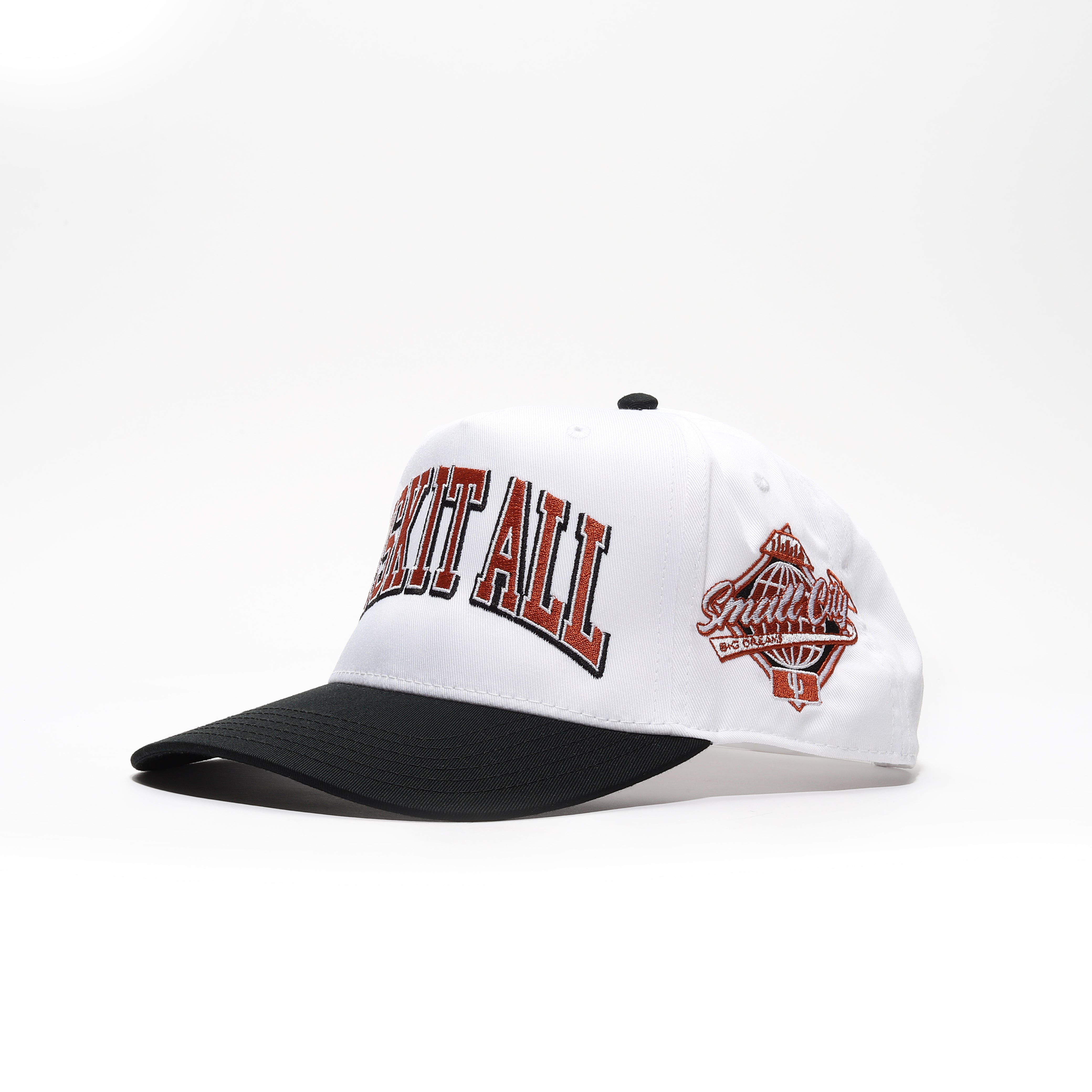 "RISK IT ALL" - Signature Hat