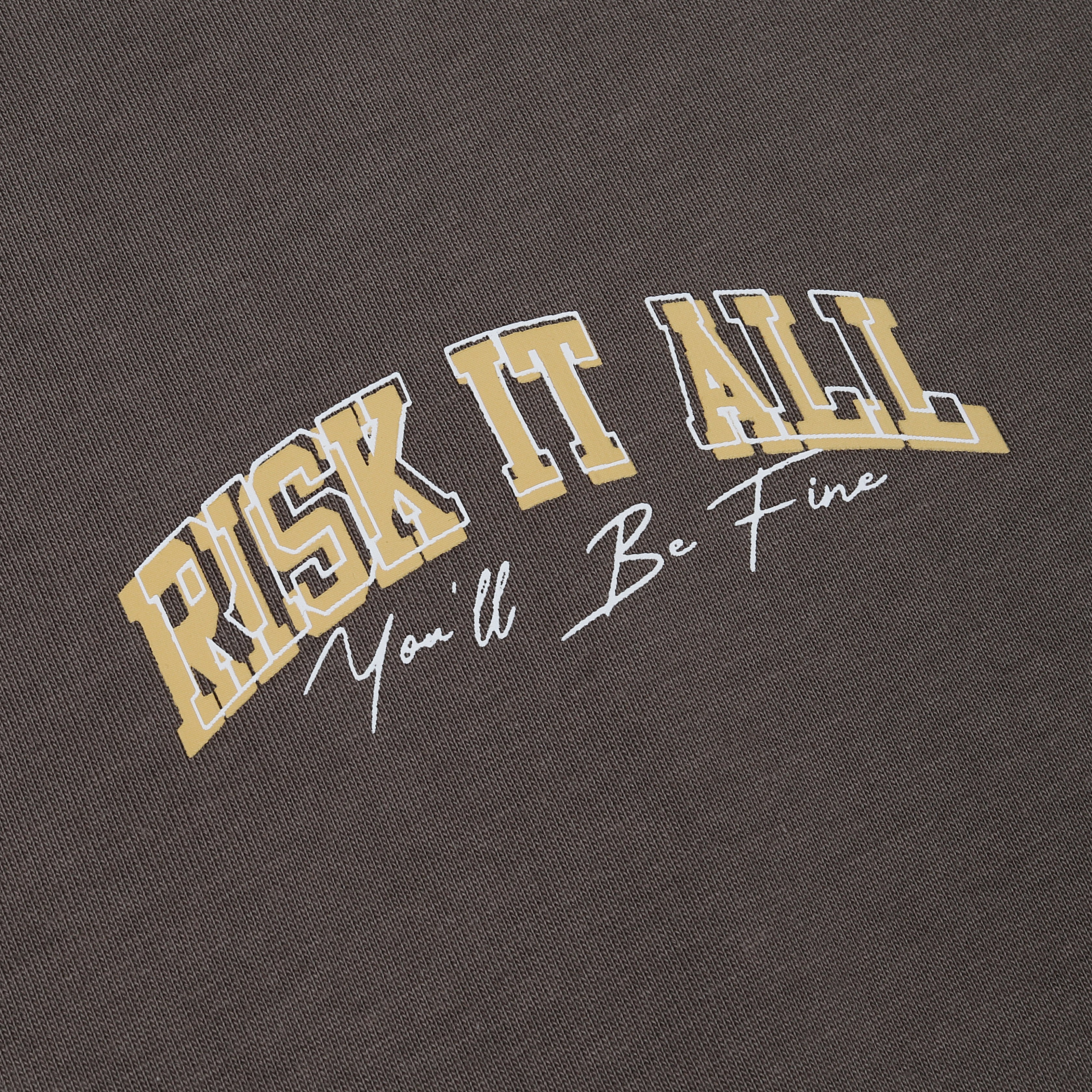 "RISK IT ALL" - Signature T Shirt - Grey Brown